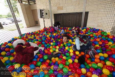 Austin Furry Park Bark