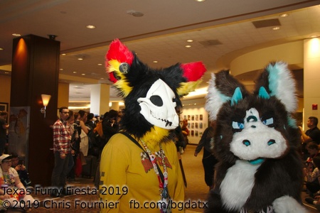 Texas Furry Fiesta 2019